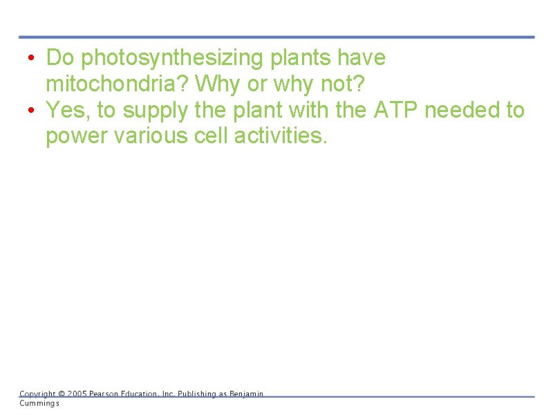  • Do photosynthesizing plants have mitochondria? Why or why not? • Yes, to