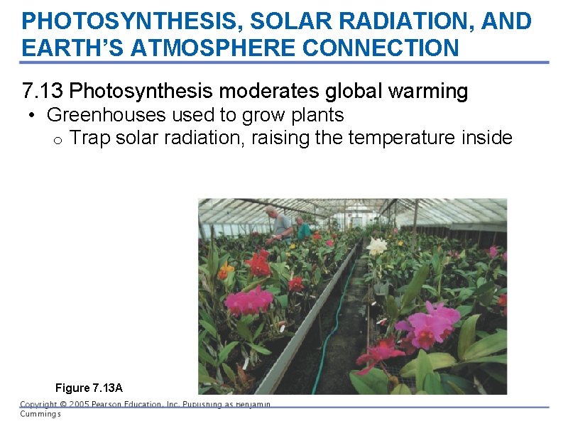 PHOTOSYNTHESIS, SOLAR RADIATION, AND EARTH’S ATMOSPHERE CONNECTION 7. 13 Photosynthesis moderates global warming •