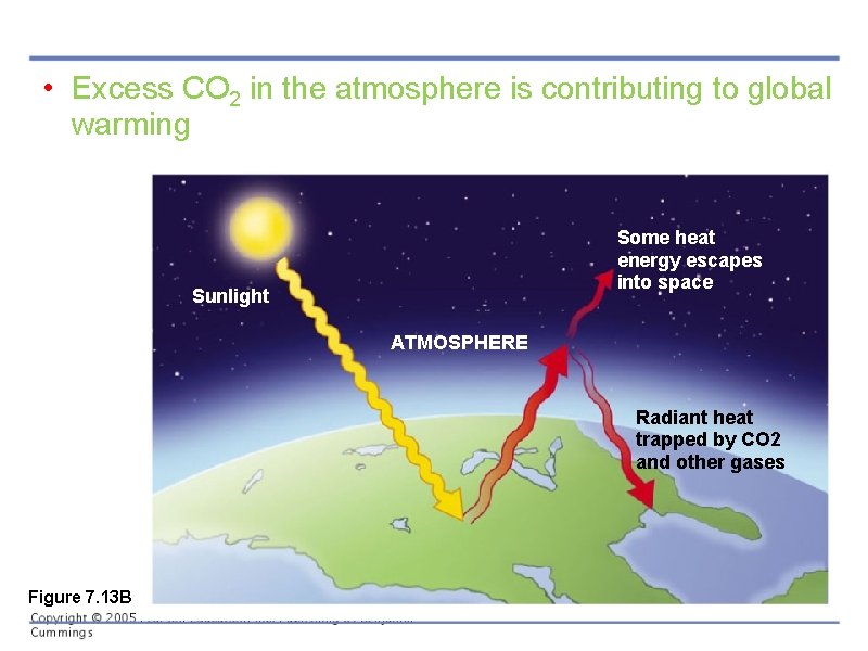  • Excess CO 2 in the atmosphere is contributing to global warming Some