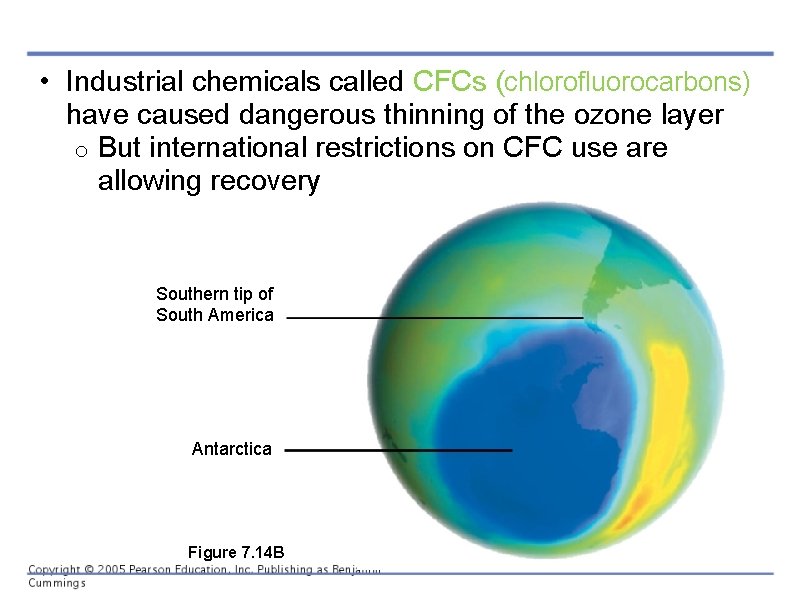  • Industrial chemicals called CFCs (chlorofluorocarbons) have caused dangerous thinning of the ozone