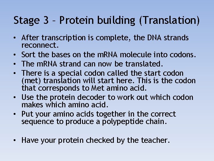 Stage 3 – Protein building (Translation) • After transcription is complete, the DNA strands