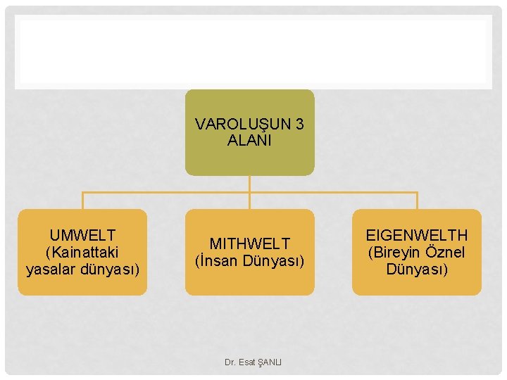 VAROLUŞUN 3 ALANI UMWELT (Kainattaki yasalar dünyası) MITHWELT (İnsan Dünyası) Dr. Esat ŞANLI EIGENWELTH