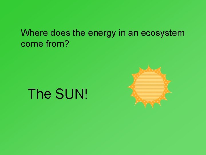 Where does the energy in an ecosystem come from? The SUN! 