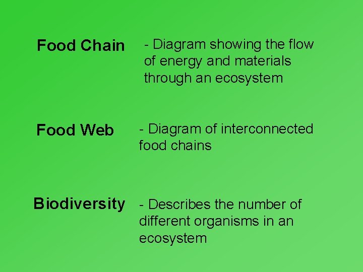 Food Chain Food Web - Diagram showing the flow of energy and materials through