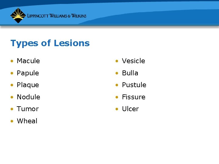 Types of Lesions • Macule • Vesicle • Papule • Bulla • Plaque •