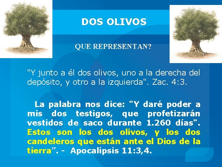 DOS OLIVOS QUE REPRESENTAN? "Y junto a él dos olivos, uno a la derecha