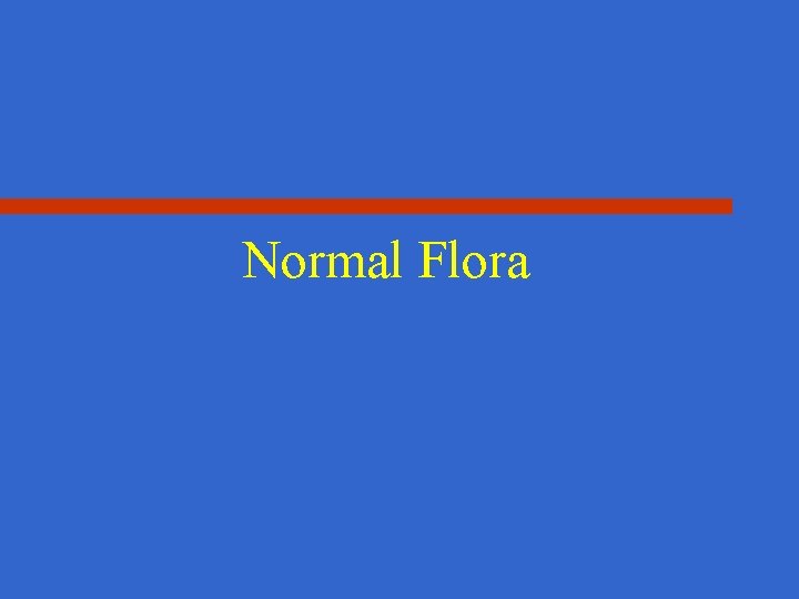 Normal Flora 