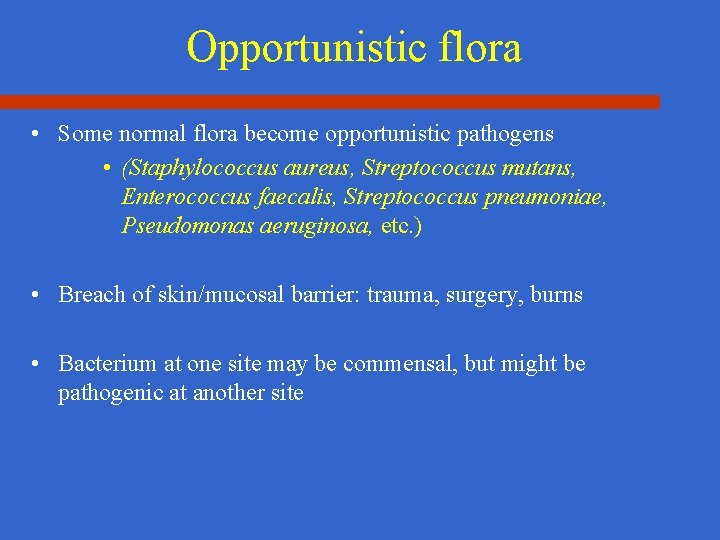 Opportunistic flora • Some normal flora become opportunistic pathogens • (Staphylococcus aureus, Streptococcus mutans,