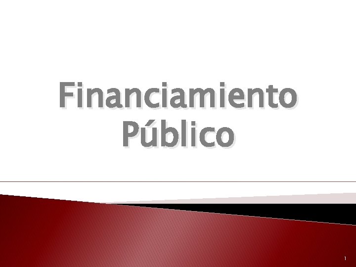 Financiamiento Público 1 