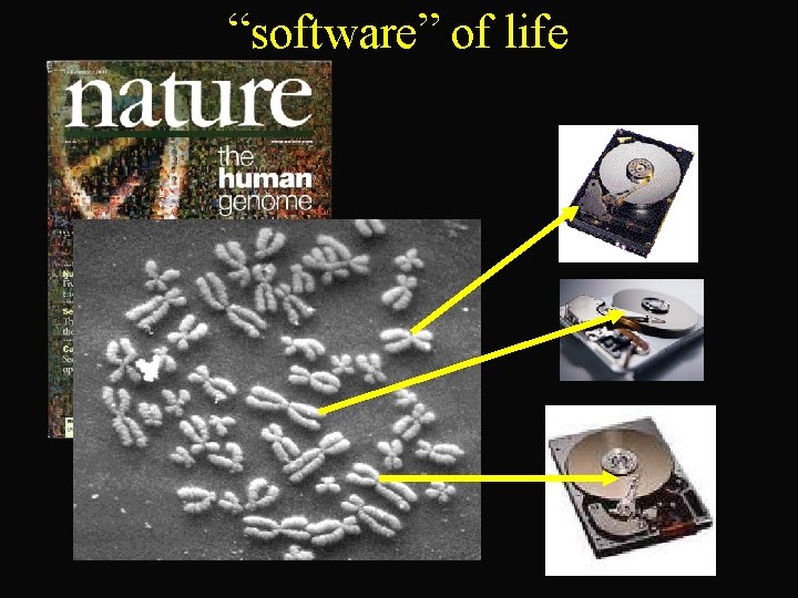 “software” of life 