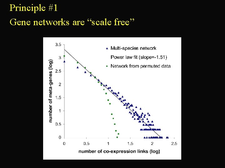 Principle #1 Gene networks are “scale free” 