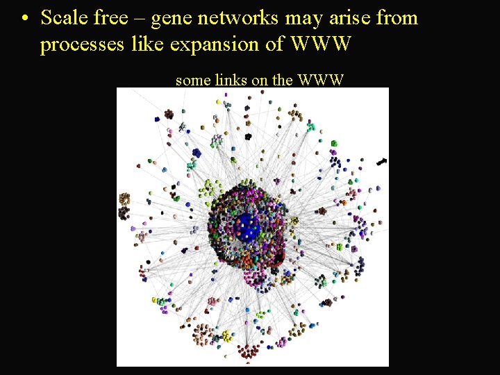  • Scale free – gene networks may arise from processes like expansion of