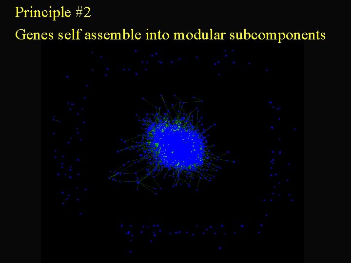 Principle #2 Genes self assemble into modular subcomponents 