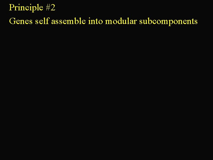 Principle #2 Genes self assemble into modular subcomponents 