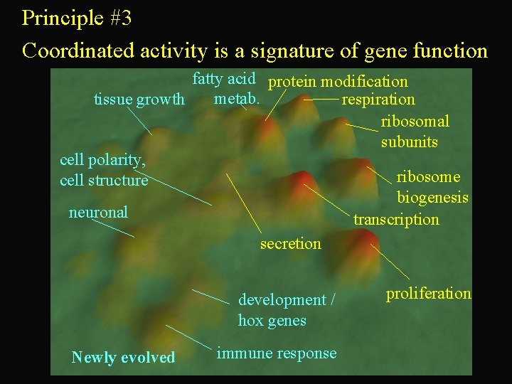 Principle #3 Coordinated activity is a signature of gene function fatty acid protein modification