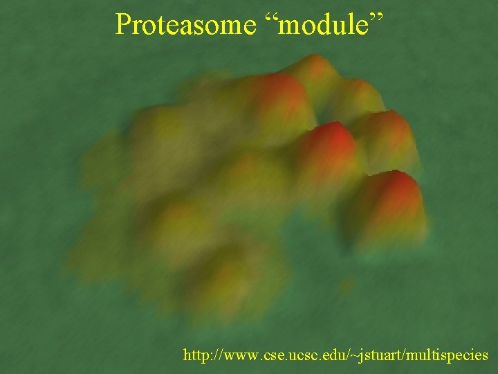 Proteasome “module” http: //www. cse. ucsc. edu/~jstuart/multispecies 