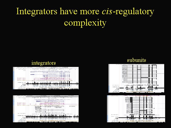 Integrators have more cis-regulatory complexity integrators subunits 