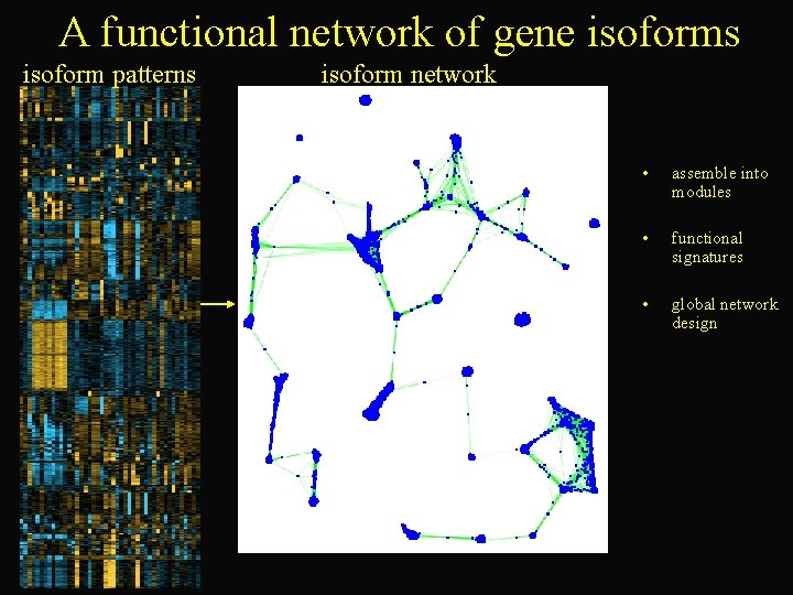 A functional network of gene isoforms isoform patterns isoform network • assemble into modules