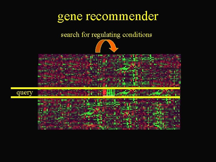 gene recommender search for regulating conditions query 