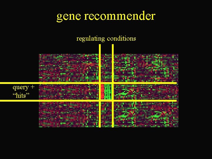 gene recommender regulating conditions query + “hits” 