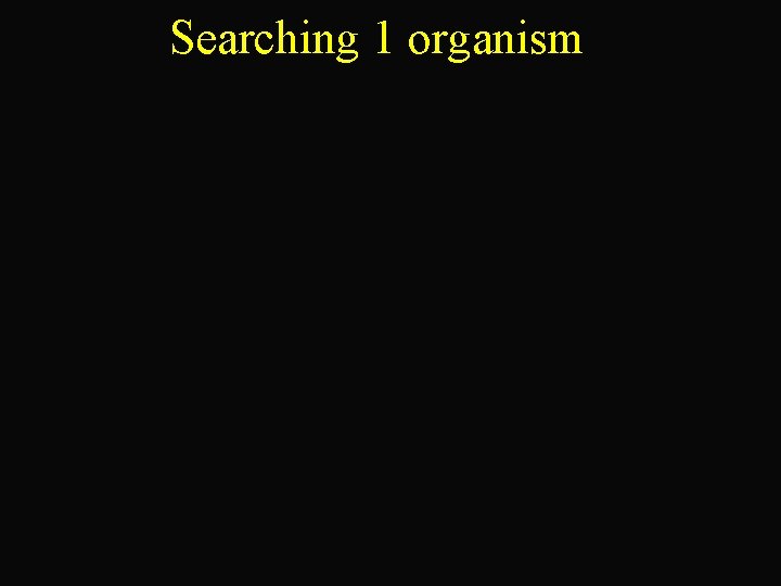 Searching 1 organism 