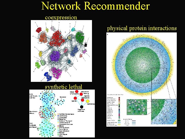 Network Recommender coexpression physical protein interactions synthetic lethal 