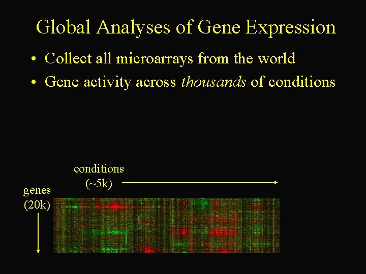 Global Analyses of Gene Expression • Collect all microarrays from the world • Gene