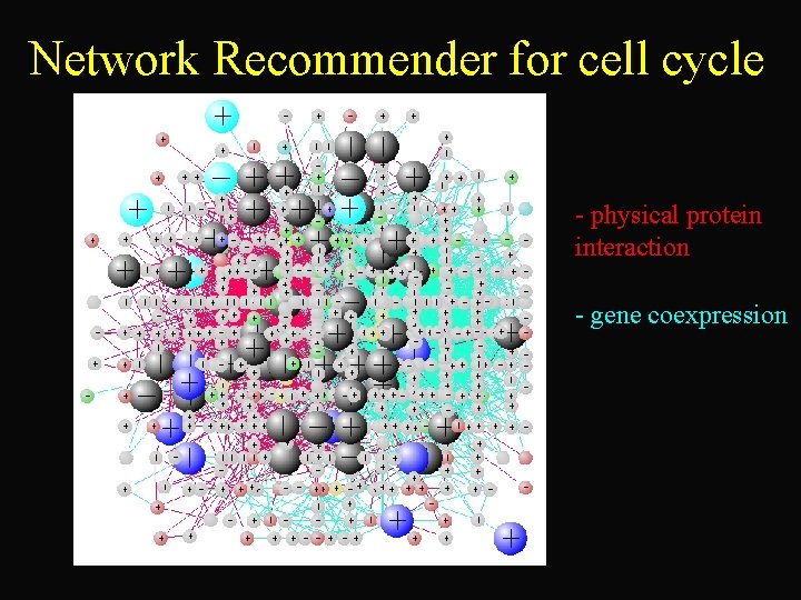 Network Recommender for cell cycle - physical protein interaction - gene coexpression 