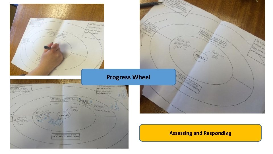 Progress Wheel Assessing and Responding 