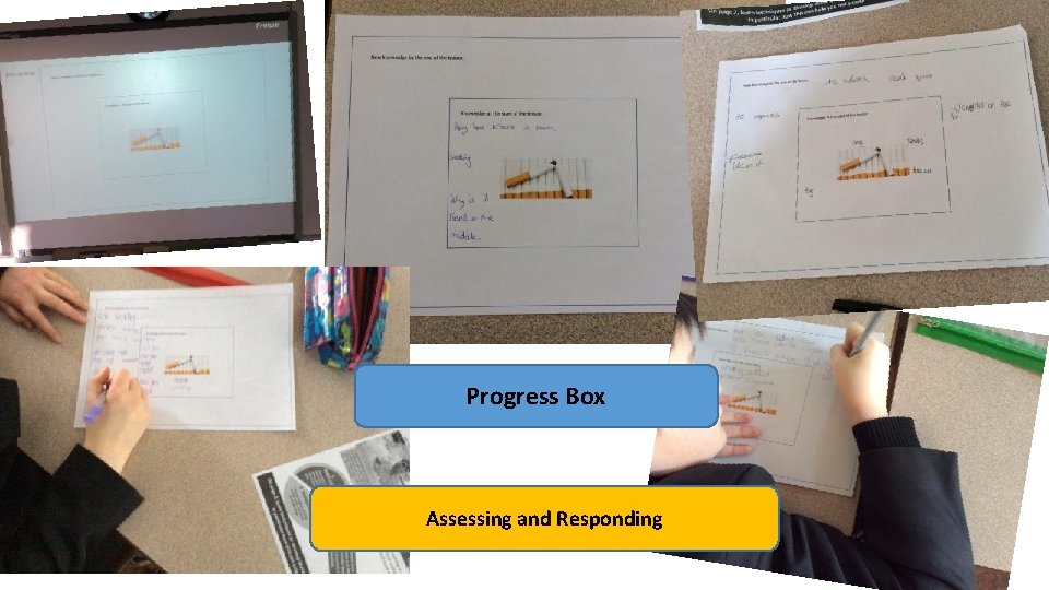 Progress Box Assessing and Responding 