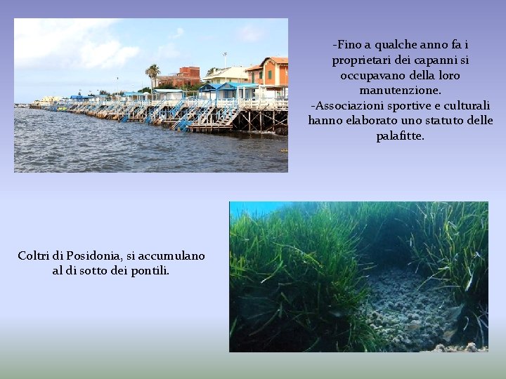 -Fino a qualche anno fa i proprietari dei capanni si occupavano della loro manutenzione.
