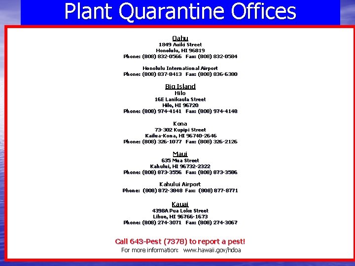 Plant Quarantine Offices Oahu 1849 Auiki Street Honolulu, HI 96819 Phone: (808) 832 -0566