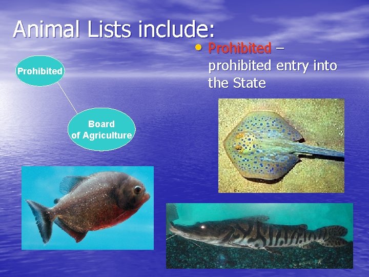 Animal Lists include: • Prohibited – prohibited entry into the State Prohibited Board of