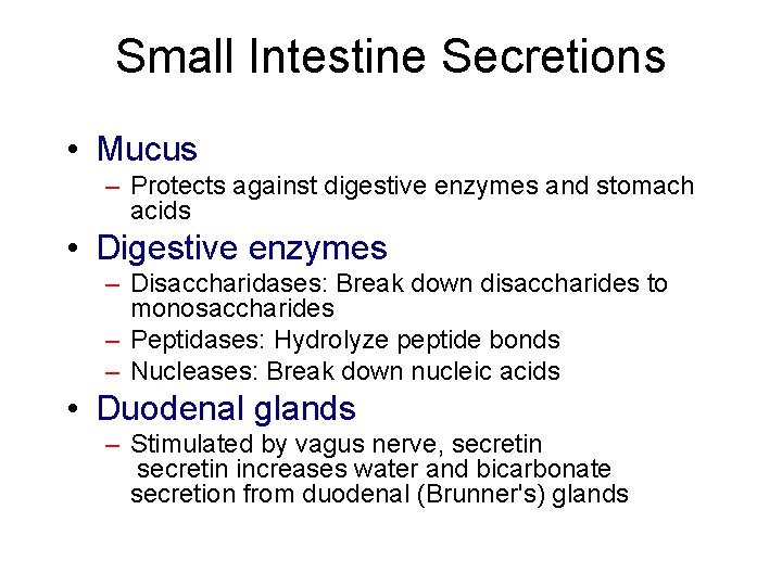 Small Intestine Secretions • Mucus – Protects against digestive enzymes and stomach acids •