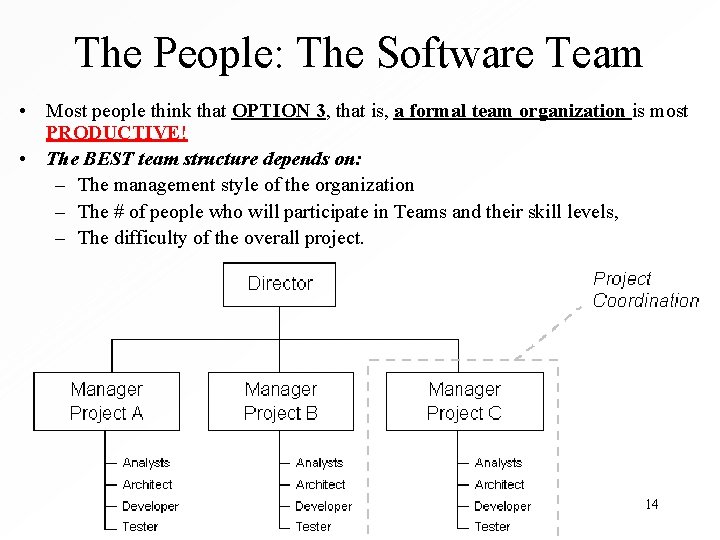 The People: The Software Team • Most people think that OPTION 3, that is,