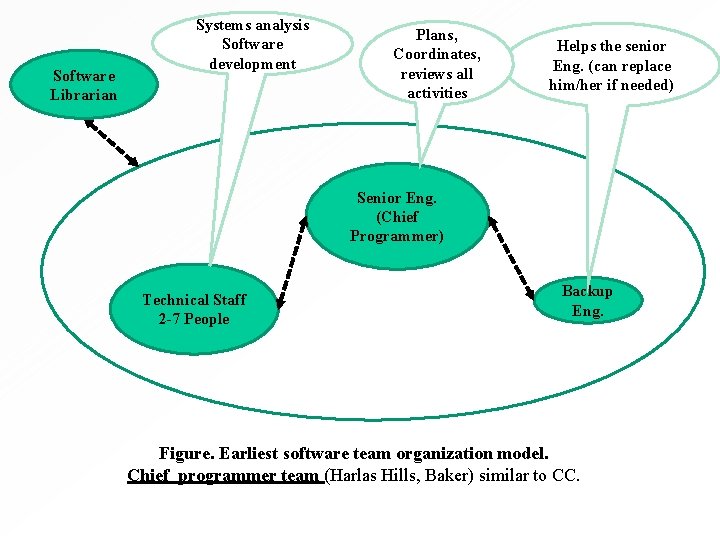 Software Librarian Systems analysis Software development Plans, Coordinates, reviews all activities Helps the senior