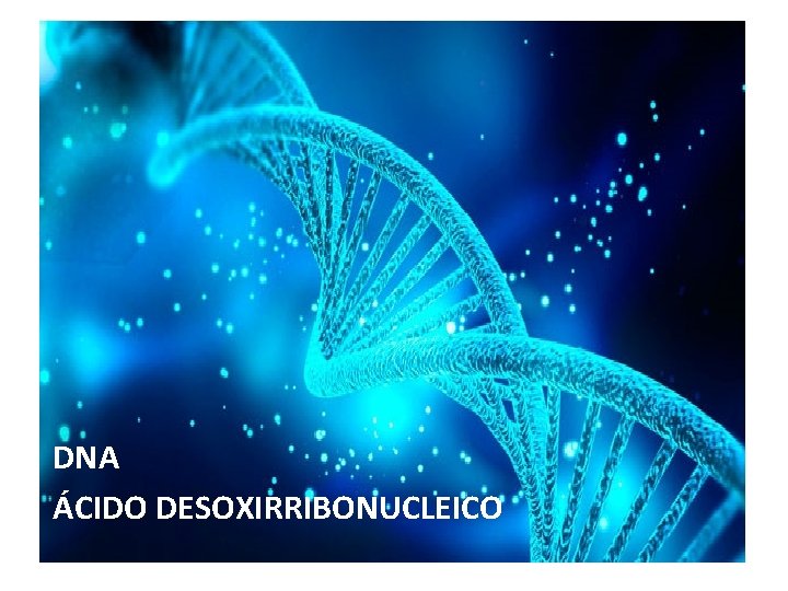  • DNA • ÁCIDO DESOXIRRIBONUCLEICO 