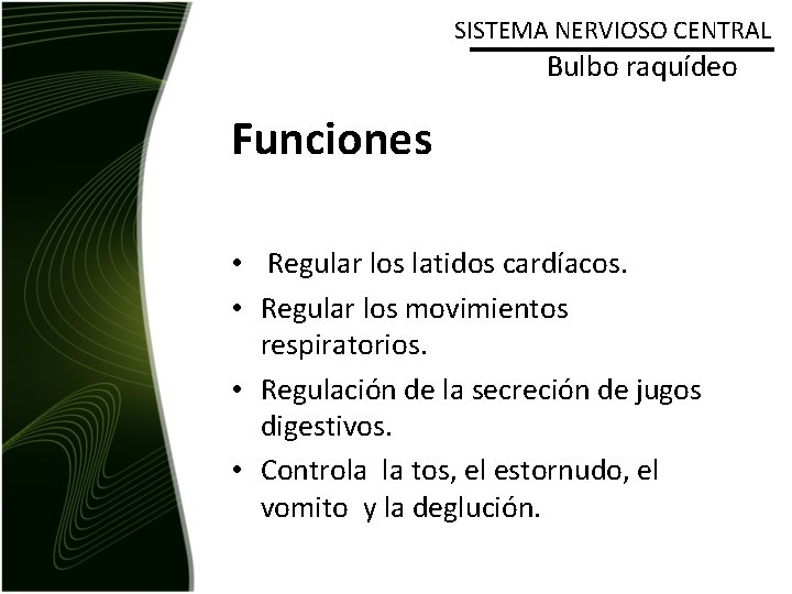 SISTEMA NERVIOSO CENTRAL Bulbo raquídeo Funciones • Regular los latidos cardíacos. • Regular los