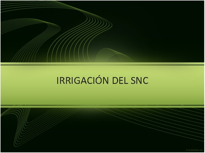 IRRIGACIÓN DEL SNC 