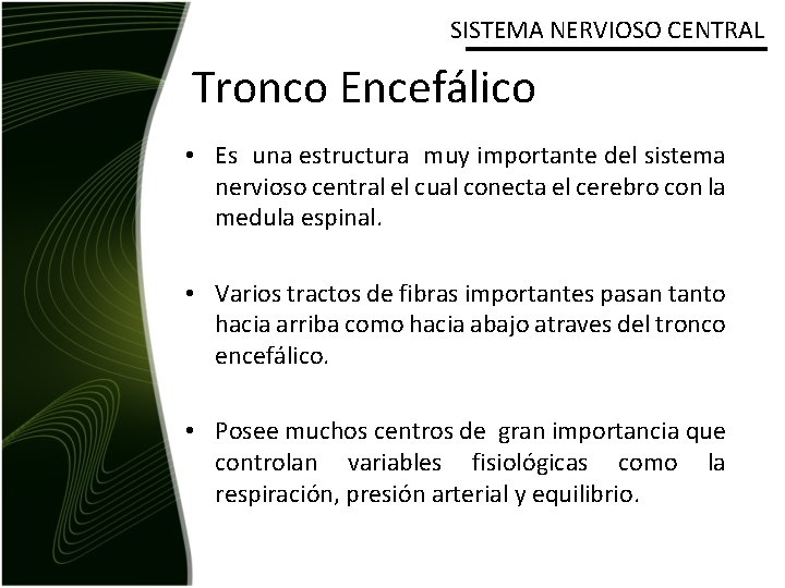 SISTEMA NERVIOSO CENTRAL Tronco Encefálico • Es una estructura muy importante del sistema nervioso