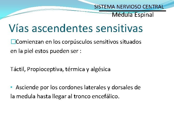 SISTEMA NERVIOSO CENTRAL Médula Espinal Vías ascendentes sensitivas �Comienzan en los corpúsculos sensitivos situados