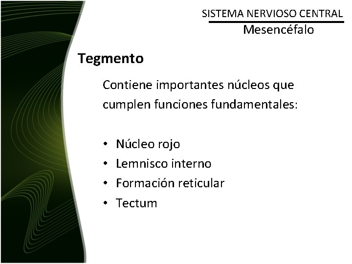 SISTEMA NERVIOSO CENTRAL Mesencéfalo Tegmento Contiene importantes núcleos que cumplen funciones fundamentales: • •