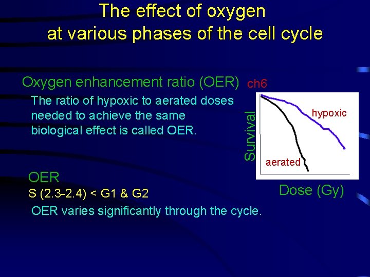 The effect of oxygen at various phases of the cell cycle The ratio of