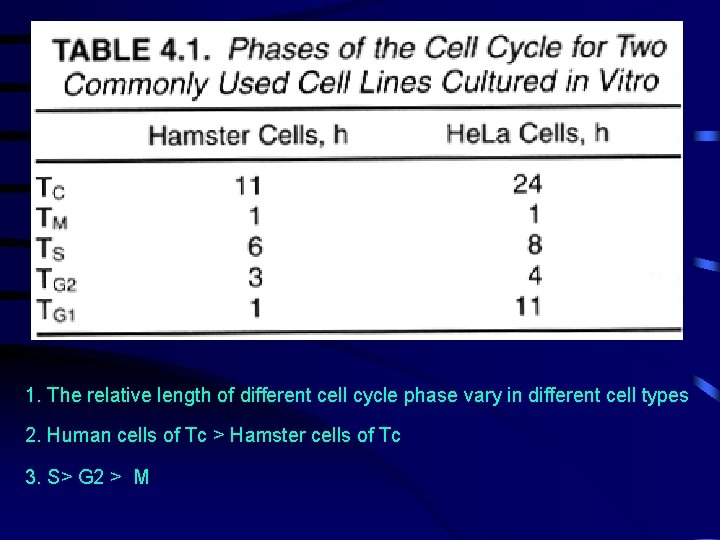 1. The relative length of different cell cycle phase vary in different cell types