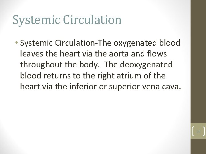 Systemic Circulation • Systemic Circulation-The oxygenated blood leaves the heart via the aorta and