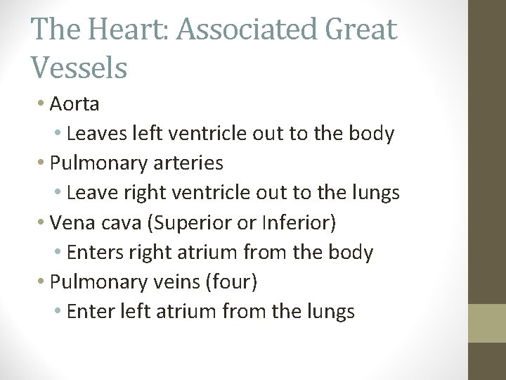 The Heart: Associated Great Vessels • Aorta • Leaves left ventricle out to the