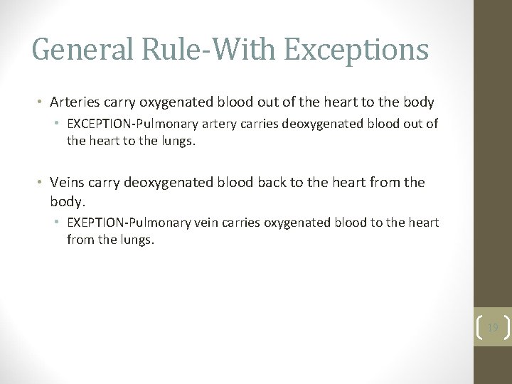 General Rule-With Exceptions • Arteries carry oxygenated blood out of the heart to the