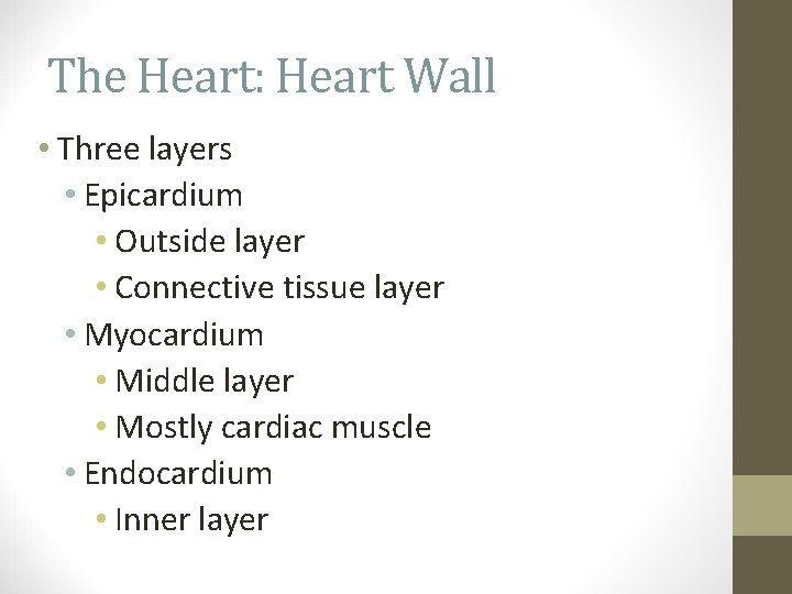 The Heart: Heart Wall • Three layers • Epicardium • Outside layer • Connective