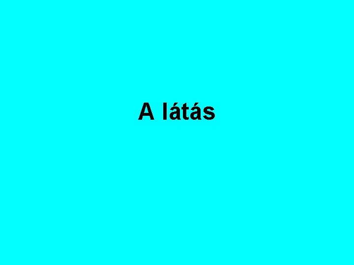 A látás 