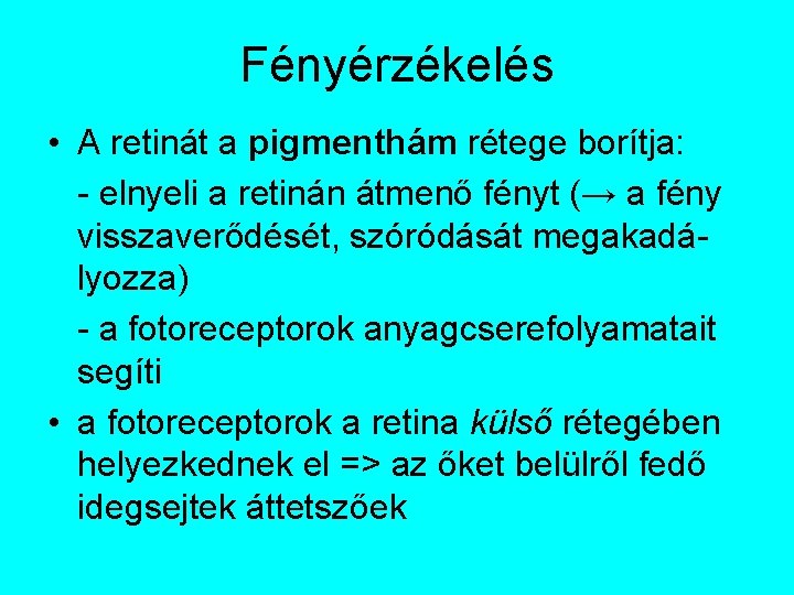 Fényérzékelés • A retinát a pigmenthám rétege borítja: - elnyeli a retinán átmenő fényt